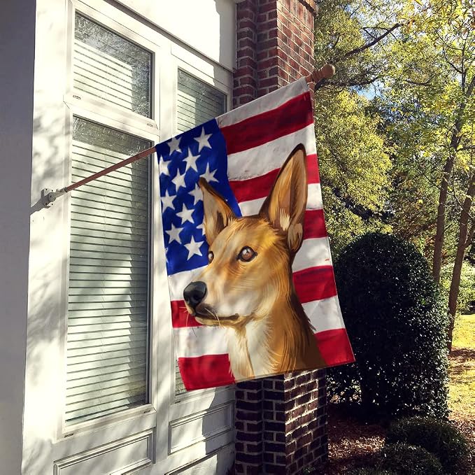Caroline's Treasures CK6567CHF Indian pariah dog American Flag House Flag Large Porch Sleeve Pole Decorative Outside Yard Banner Artwork Wall Hanging, Polyester, House Size, Multicolor