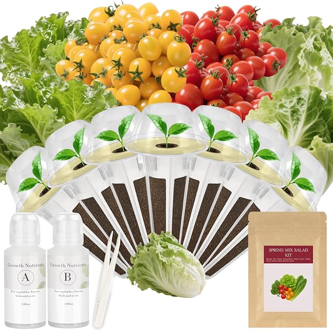 Spring Mix Salad Seed Pod Kit for AeroGarden, idoo, Ahopegarden, MUFGA with Red Cherry Tomato, Golden Cherry Tomato, Buttercrunch Lettuce, and Green Romaine Lettuce - Compatible with All Garden(7-Pod)
