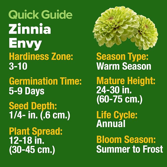 HOME GROWN Envy Zinnia Seeds (2oz) – 8,500 Rare Lime Green Annual Zinnia Flower Seeds for Planting, Fast-Growing Bulk Seed Variety, Premium Garden Companion for 2026 Bloom (Zinnia elegans)