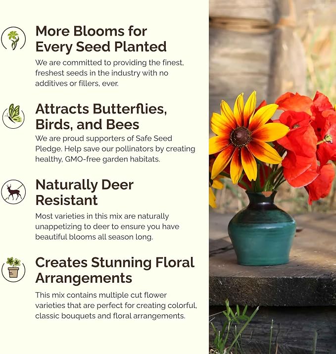Eden Brothers New Jersey Wildflower Mixed Seeds for Planting, 1 oz, 30,000+ Seeds with Cornflower, Coneflower | Attracts Pollinators, Plant in Spring or Fall, Zones
