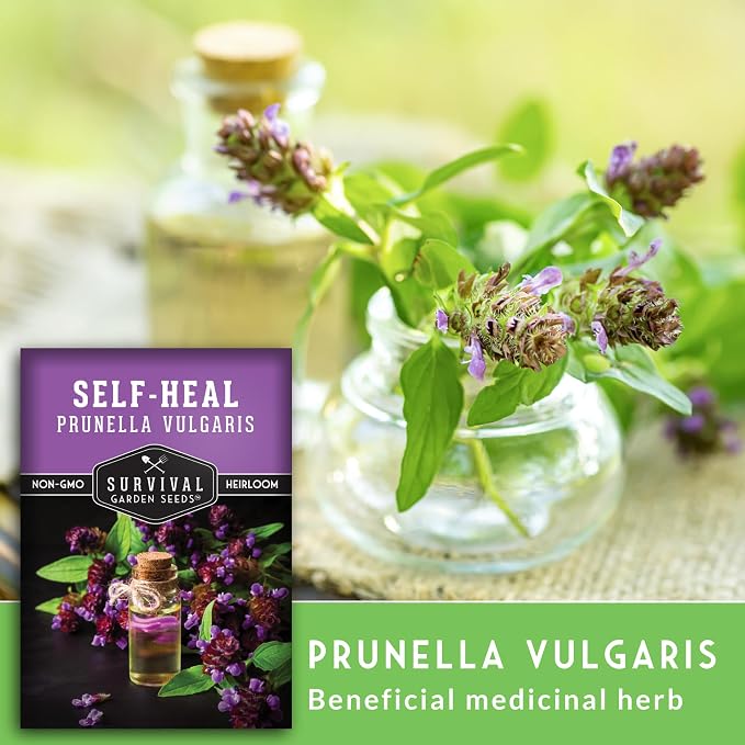Self-Heal Seeds for Planting - Prunella Vulgaris (All-Heal, Selfheal) Hardy Perennial Ground Cover & Pollinator Wildflower, Non-GMO Heirloom Herb - Survival Garden Seeds (5 Packs)