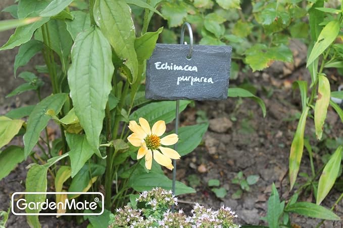 GardenMate 10-Pack Natural Style Slate Plant Labels (4" x 2 3/4") Hanging from a Stainless Steel Metal Rod (22")