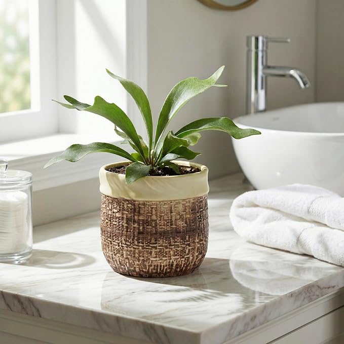 6 Inch Plant Pot - Ceramic Pots for Plants with Drainage Hole and Plug, Unique Plant Pots for Indoor Outdoor Plants, Round Planter, Room Home Decor, Gifts for Plant Lovers, Brown