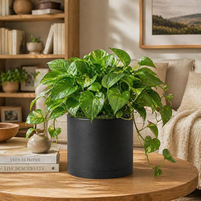 Giraffe Creation 10 Inch Cylinder Plant Pot, Modern Round Planter with Drainage Holes and Saucer, Lightweight Plastic Flower Pot for Indoor Outdoor Plants, Black