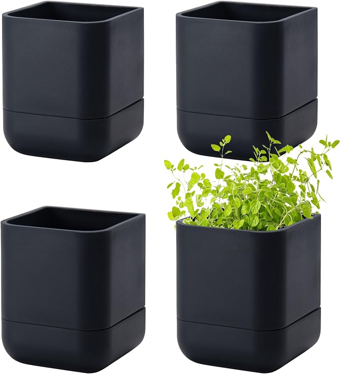 Phoenix Vine 4.5 Inch Wall Mounted Self-Watering Planter Pot for Indoor Houseplants and Herbs | Hanging Planter for Window Sills, Bathroom Walls, Home & Office Décor, Black, Set of 4, 01-B-E-4