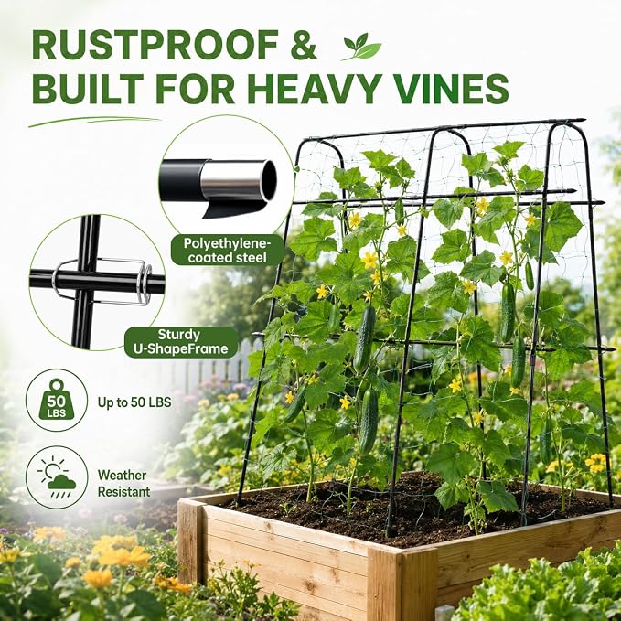63x63 Cucumber Trellis for Raised Garden Bed, Garden Arch Trellis for Climbing Plants Outdoor, Metal Tomato Cage with Netting, Adjustable Plant Trellis for Tomatoes, Cucumbers, Beans, Peas,Black