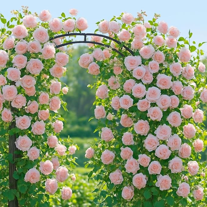 Metal Garden Arbor, 86.6" x 47" Garden Arch Trellis, for Wedding Arch Frame, Climbing Plants, Decorative Archway, Patio, Backyard, Patio, Lawn, Pathway, Seaside, Black