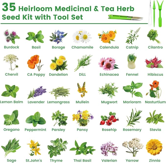 35 Medicinal Tea Herb Seeds Variety Pack with Planting Tools, Herbal Tea Garden Starter Kit for Beginners, Indoor Outdoor Gardening Gift Set, House Warming Gifts New Home for Women Men Mom Dad