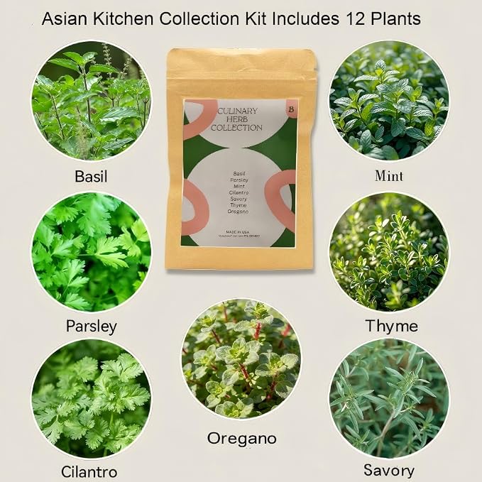 inbloom 12-Pod Gourmet Herb Basil Seed Pod Kit for AeroGarden, Ahopegarden Hydroponic Garden, Basil, Mint, Cilantro, Parsley, Shiso, Chicory, Liquorice, 400+ Seeds
