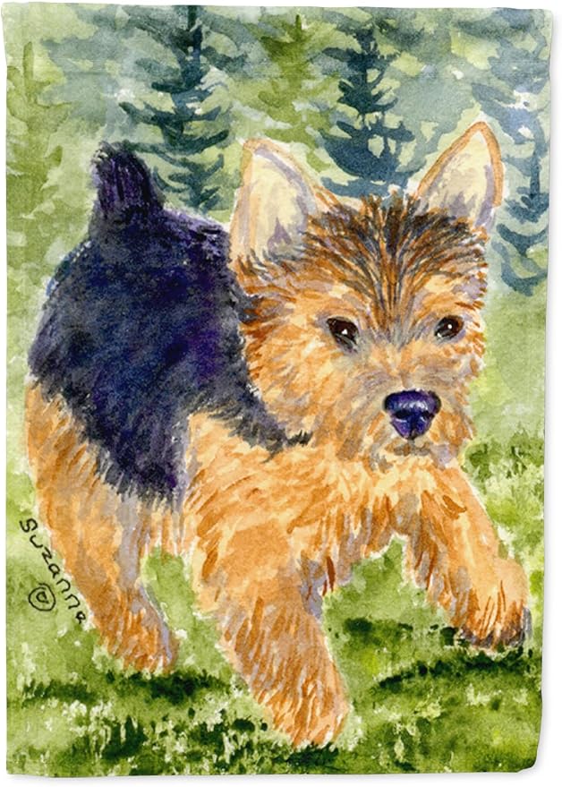 Caroline's Treasures SS8907GF Norwich Terrier Garden Flag Mailbox Flag Decorative Yard Flag Banner Outside Patio Artwork Yard Flower Beds, Garden Size, Multicolor