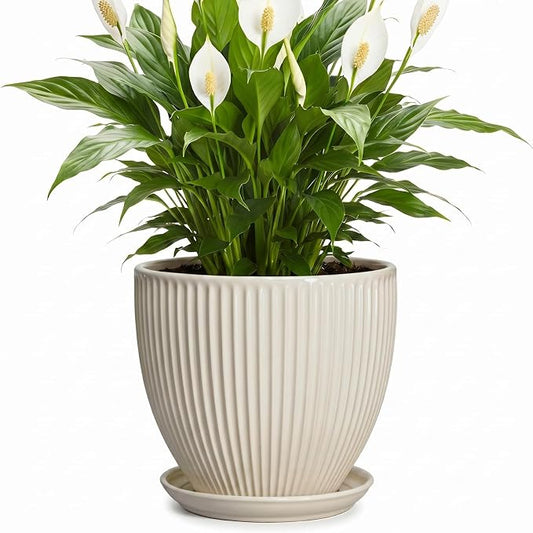 Ceramic Flower Pots, 8 Inch Plant Pot with Drainage Hole and Saucer, Modern Planters for Indoor Plants, Round Indoor Pots for Plants, Office Home Decor, Plant Lover Gifts, Cream White