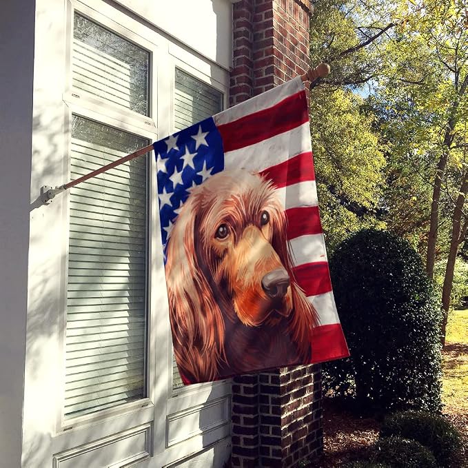 Caroline's Treasures CK6570CHF Irish Setter Dog American Flag House Flag Large Porch Sleeve Pole Decorative Outside Yard Banner Artwork Wall Hanging, Polyester, House Size, Multicolor
