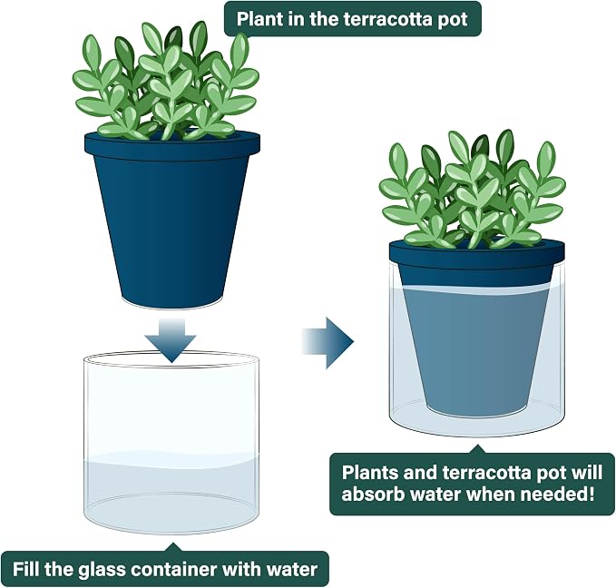 D'vine Dev 4 Inch Design Self Watering Planter for Indoor Plants, Blue Terracotta Pot with Cylinder Glass Cup, Set of 4, 37-Z-A-4-F