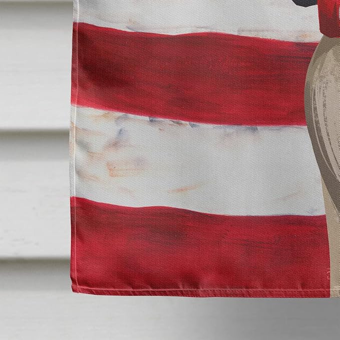 Caroline's Treasures CK6407CHF Ariegeois Dog American Flag House Flag Large Porch Sleeve Pole Decorative Outside Yard Banner Artwork Wall Hanging, Polyester, House Size, Multicolor