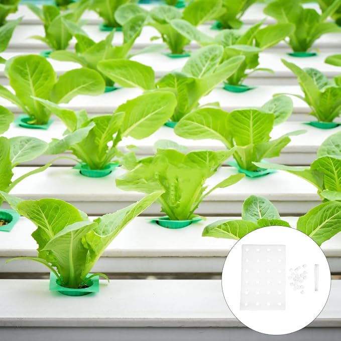 DOITOOL 24 Hydroponic Sponges Planting Tool Planting Tray with 24 Holes Floating Gardening Plate Soilless Cultivation Sponges Cubes Tray for Small Bud Growth & Grow Seedlings