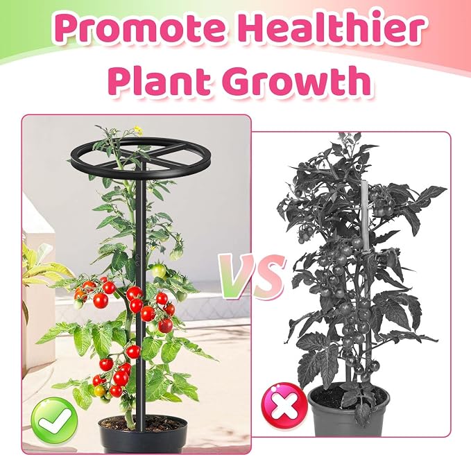 Metal Dragon Fruit Trellis, Adjustable Durable Dragon Fruit Plant Trellis Vertical Indoor Support Frame for Climbing Plants Trees Cactus Garden Outdoor Potted Support, 2 Pcs