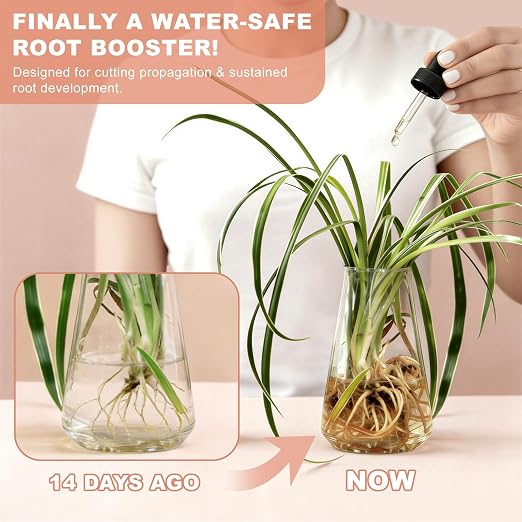 Root Drops - Liquid Rooting Hormone for Cuttings- Fast Growth Propagation Drops | Less Shock in Water/Soil/LECA/Moss | Fits Pothos, Monstera, Philodendron & All Houseplants (4 oz) (2)