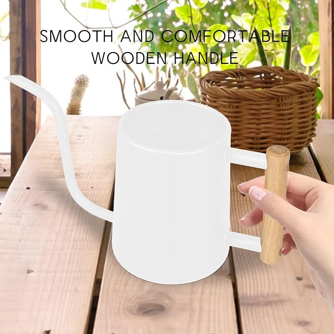 Watering Can Indoor Plants, 35 oz/1000 ml Metal Stainless Steel Watering Can Pot with Long Spout for Indoor House Plants Bonsai Outdoor Garden Flower Decorative (White)