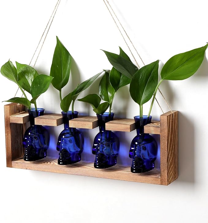 Plant Propagation Stations Halloween Skull Plant Terrarium Kit | Glass Vases Gift for Father Air Planter Home Office Decor