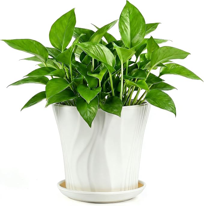 8.3 Inch Ceramic pots for Plants with Saucer Drainage Leak-Proof Mesh, Round Plant Pot with Gardening Gloves for Indoor Outdoor Plants (Rippled White)