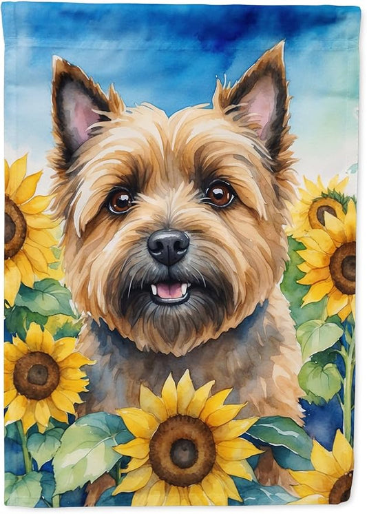 Caroline's Treasures DAC6044CHF Cairn Terrier in Sunflowers House Flag Large Porch Sleeve Pole Decorative Outside Yard Banner Artwork Wall Hanging, Polyester, House Size, Multicolor