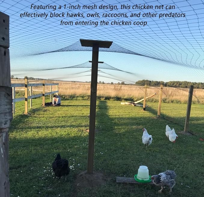 Junflying 25x50 FT Bird Netting for Chicken Coop, 1" Chicken Run Roof Cover | Woven Poultry Netting Against Hawks, Owls, Eagles & Predators, Large Net for Fruit Tree, Blueberry, Vegetable Protection