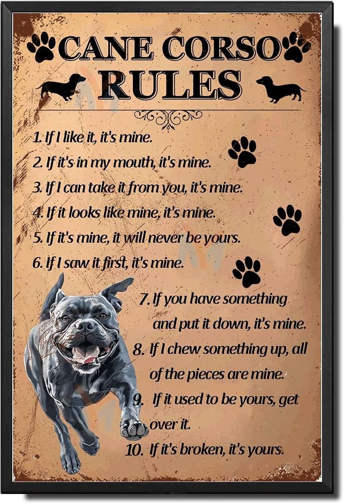 Metal Sign Tin Sign Vintage Wall Art Cano Corso Rules Gardening Decor Gift for Bar 8×12 Inches with Metal Frame