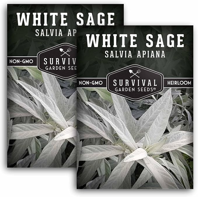 Survival Garden Seeds White Sage Seeds for Planting, 2 Packs | Salvia Apiana Seed, Native California Plant for Warm Dry Gardens & Smudging Herbs - Open-Pollinated Variety