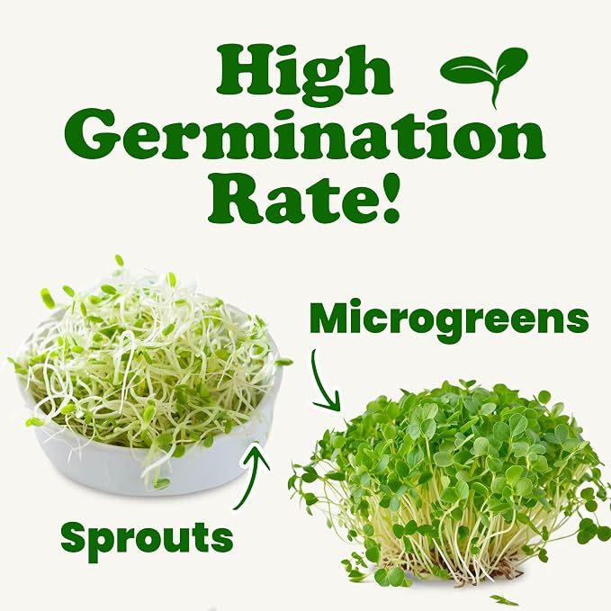 Food to Live Organic Clover Seeds for Sprouting, 3 Pounds Non-GMO, Pure, Vegan, Kosher, Bulk. Edible Seeds. Rich in Vitamins, Minerals, Fiber. for Growing Sprouts, Microgreens. High Germitation Rate