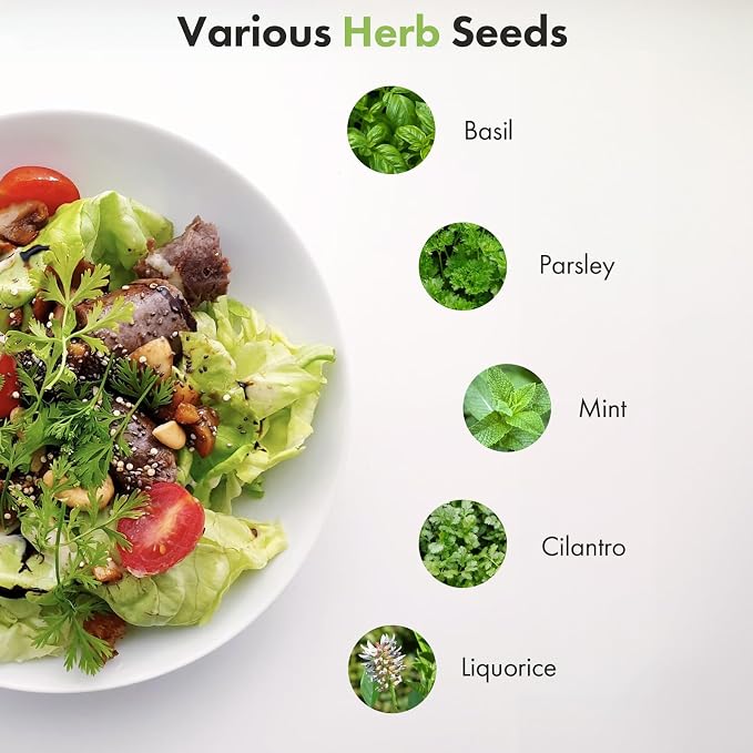 Quality Herb Seed Pod Kit for AeroGarden, iDOO, Ahopegarden - Compatible with All Hydroponic Indoor Garden Systems, High Germination, Includes Basil, Parsley, Mint, Cilantro, Liquorice, 7 pods