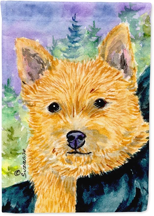 Caroline's Treasures SS8905GF Norwich Terrier Garden Flag Mailbox Flag Decorative Yard Flag Banner Outside Patio Artwork Yard Flower Beds, Garden Size, Multicolor