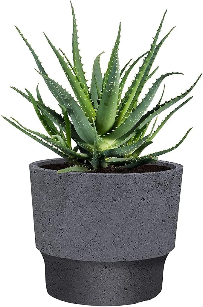 The HC Companies 5 Inch Sprite Succulent Pot 4.84"x4.84"x4.16Inch in Faux Concrete Color