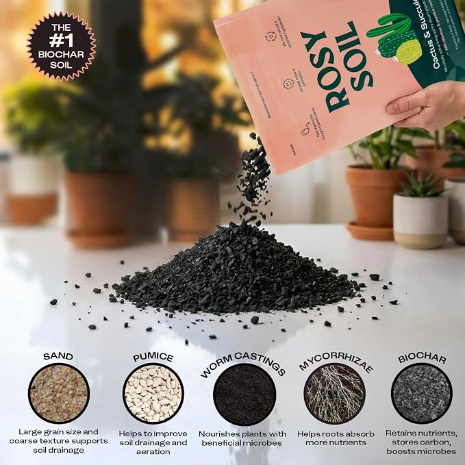 Rosy Soil Cactus & Succulent Potting Mix, 4 Quarts | Organic Succulent Potting Soil, Chunky Fast Draining, Peat-Free, Root Boosting Mix, for AloeVera, Cacti, Indoor Succulents