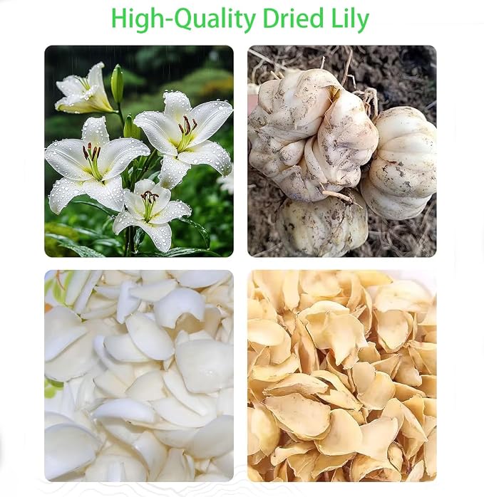Dried Lily- Pure Natural Chinese Herbal Medicine-Dried Lily Bulbs 8.81oz/250g Used for making soup-Brewing tea- 百合干(Dried Lily)