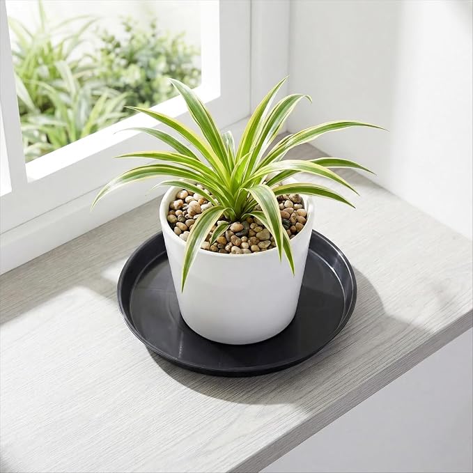 30 Pack Plant Saucer 8 Inches Plant Trays for Pots Plastic Round Drip Trays Flower Pot Saucers Black Planter Water Tray Plant Drainage Tray, Black