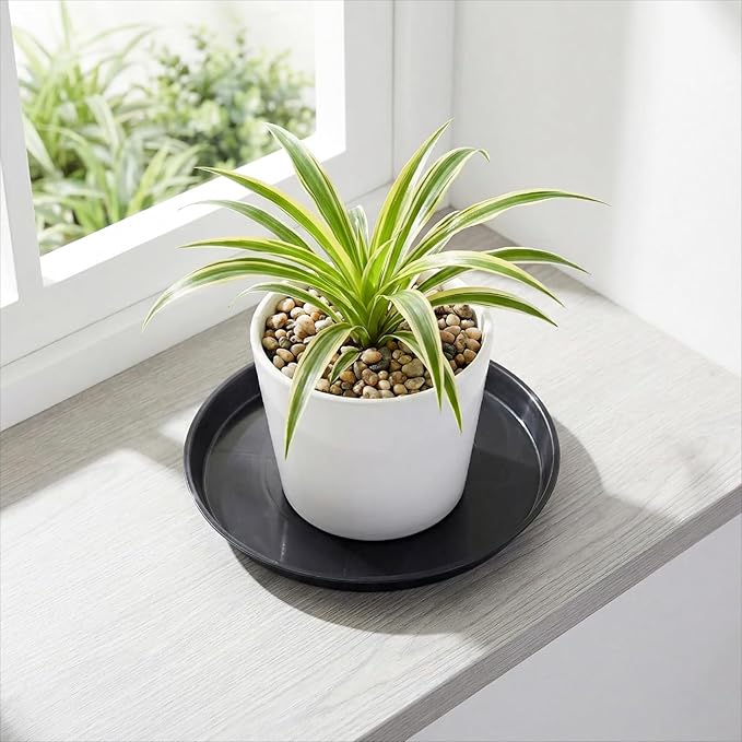30 Pack Plant Saucer 4/5/6 Inches Plant Trays for Pots Plastic Round Drip Trays Flower Pot Saucers Black Planter Water Tray Plant Drainage Tray, Black
