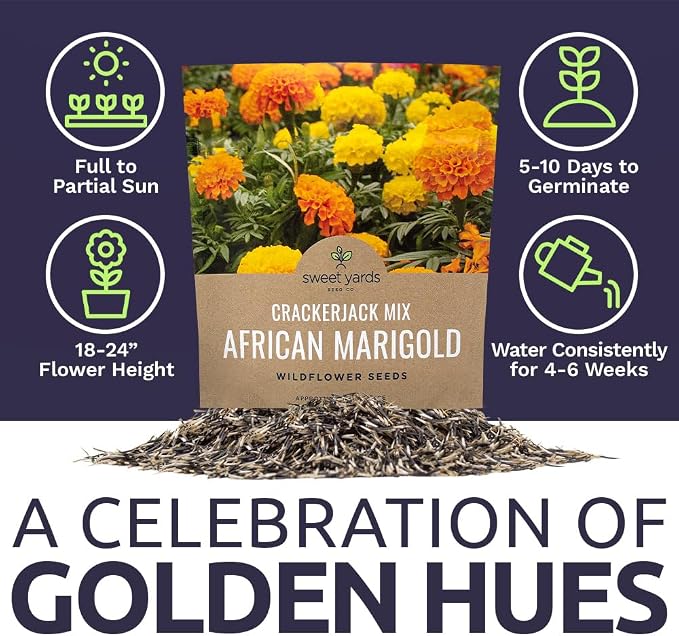 Sweet Yards African Marigold Seeds Mix Crackerjack Mix - Bulk 1 Ounce Packet - Over 10,000 Seeds - Huge Orange and Yellow Blooms - Adaptable to All US Regions - Pollinator Friendly