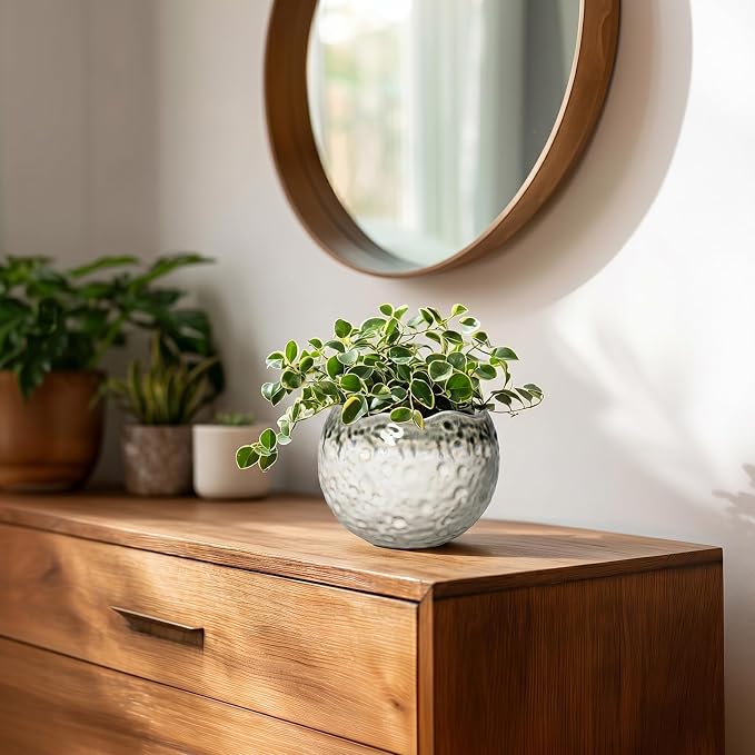 Ceramic Plant Pots 4 Inch - Small Ceramic Planter with Drainage Hole and Plug, Modern Unique Pots for Plants Indoor Outdoor, Decorative Round Planter, Home Decor, Garde Gifts, Beige-Grey