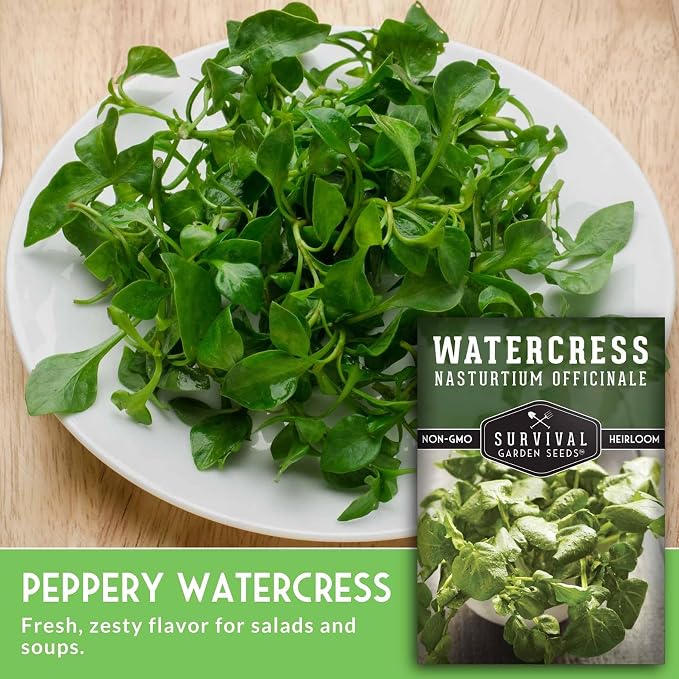 Watercress Seeds for Planting - Heirloom Aquatic Herb Greens - Non-GMO Nasturtium Officinale for Hydroponic Growing - Survival Garden Seeds (5 Packs)