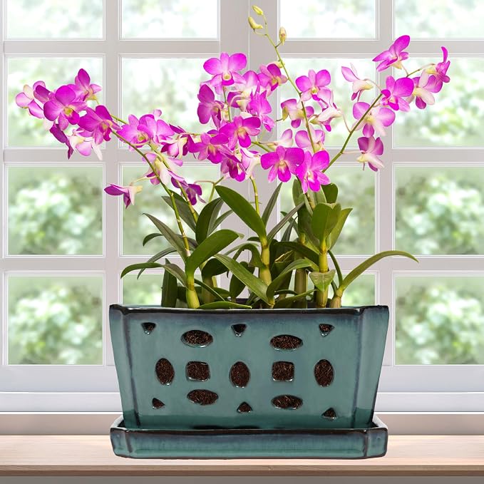 Teenyyou 1 Set Orchid Pot with Holes 9.5 Inch Ceramic Orchid Pot with Saucers for Repotting Amaryllis Flower Planter Include Gardening Shovel Set and Gloves for Home Decor(Green)