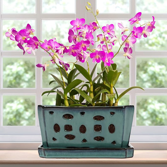 Teenyyou 1 Set Orchid Pot with Holes 9.5 Inch Ceramic Orchid Pot with Saucers for Repotting Amaryllis Flower Planter Include Gardening Shovel Set and Gloves for Home Decor(Green)