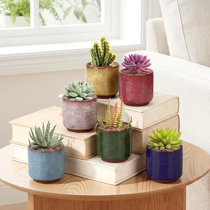 12 Pack 2.36 Inch Small Ceramic Succulent Planter Pot with Drainage Hole, Mini Ice Crack Glaze Flower Pots for Indoor Succulent Planters for Cactus Plant Lover Gifts for Women Mom Coworker