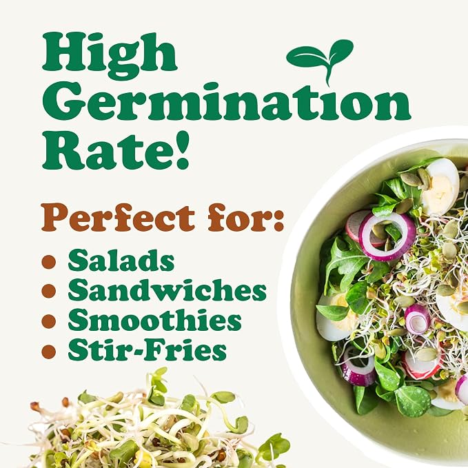 Food to Live Organic Salad Mix of Sprouting Seeds, 3 Pounds — Non-GMO Broccoli, Radish, Clover, Alfalfa. Rich Germination Rate, Non-Irradiated, Kosher, Vegan Superfood, Bulk, Rich in Sulforaphane