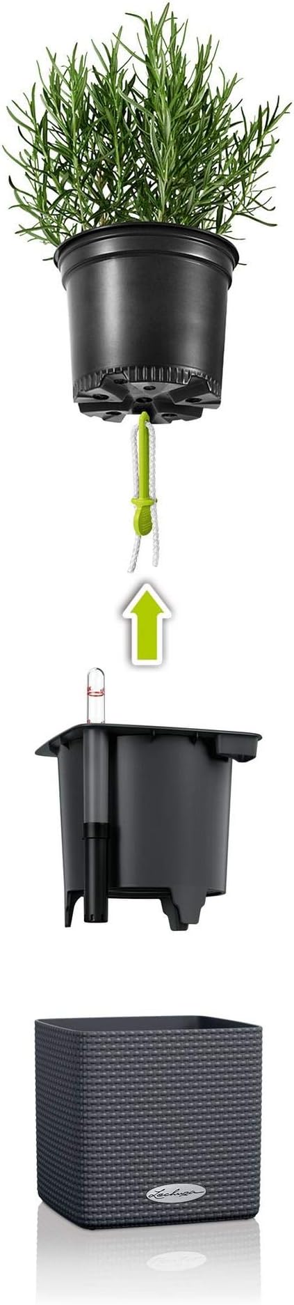 Lechuza 13384 Cube Color 14 Self-Watering Planter for Indoor and Outdoor Use, 6" x 6" x5", Slate