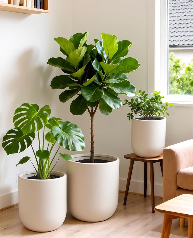 homenote Flower Pots 13/11.5/10 Inch,Large Plant Pots Indoor with Drainage,Plastic Pots for Plants,Garden Pots for Outdoor,Large Planters for Indoor Plants,Big Plastic Planter,White(3 Pcs)