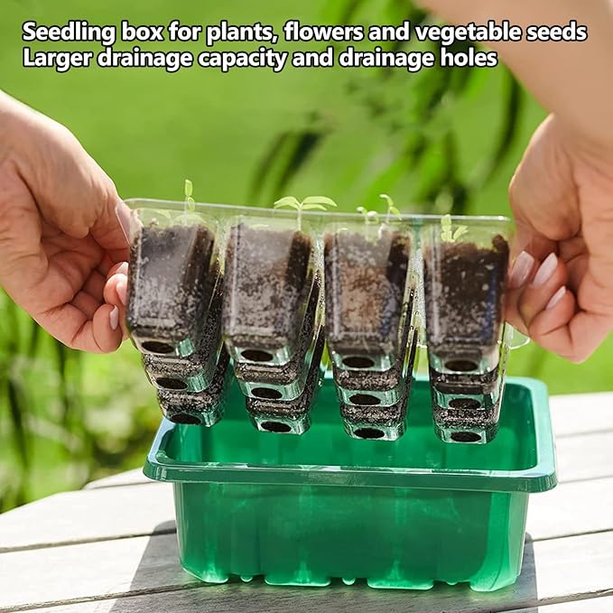 6-Pack Seed Starter Tray Kit with Grow Light | Adjustable Brightness & Timing Controller, Seedling Trays with Humidity Domes & Heightened Lids, Thicken Design