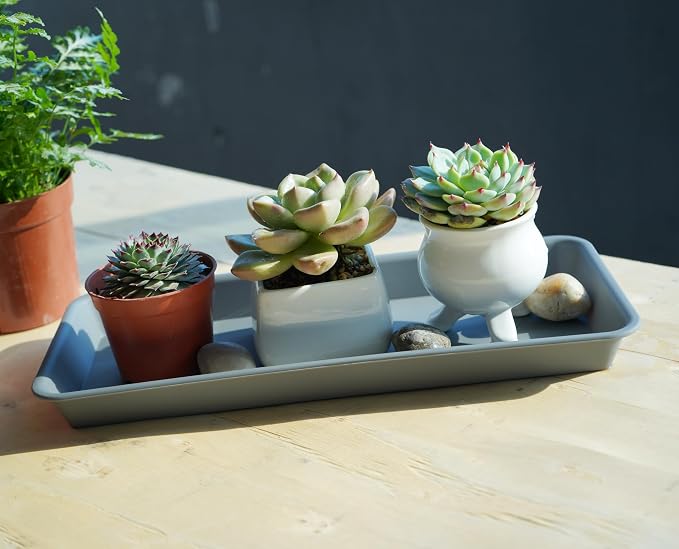 VUWEZ 2 Pack Plastic Plant Trays, Rectangular, Indoors/Outdoors, Drip Tray for Flower Pots, Windowsill (6 x 11 Inch, Gray)