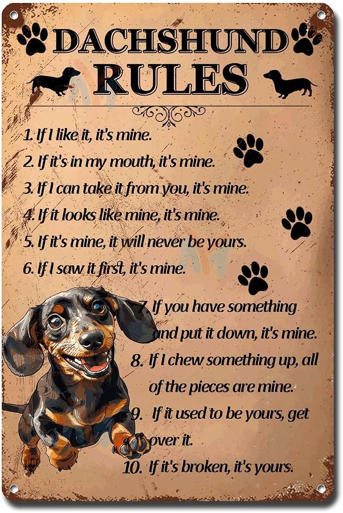 Metal Sign Tin Sign Vintage Wall Art Dachshund Rules Wall Art for Restaurant 8×12 Inches