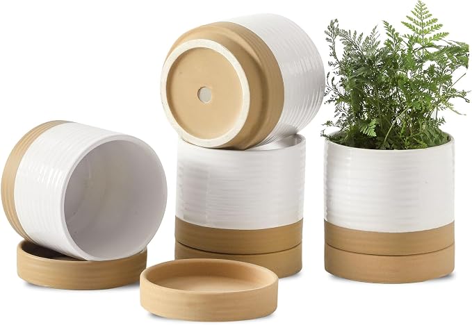 HASENSE Small Plant Pots, 4.6 Inch Ceramic Flower Pots with Two-Tone Glaze Design, Indoor Outdoor Planter with Drainage Hole and Saucer, Cute Tabletop Decor, 4 Pack, White-Brown