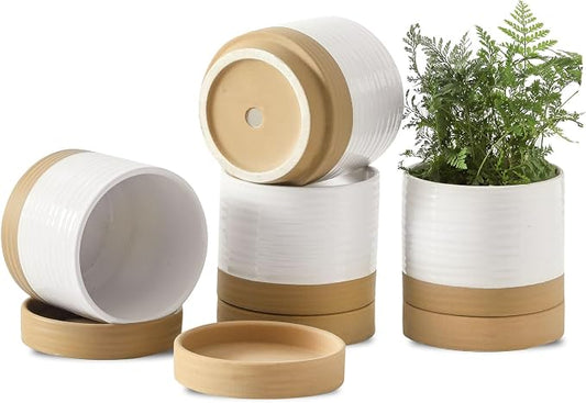HASENSE Small Plant Pots, 4.6 Inch Ceramic Flower Pots with Two-Tone Glaze Design, Indoor Outdoor Planter with Drainage Hole and Saucer, Cute Tabletop Decor, 4 Pack, White-Brown